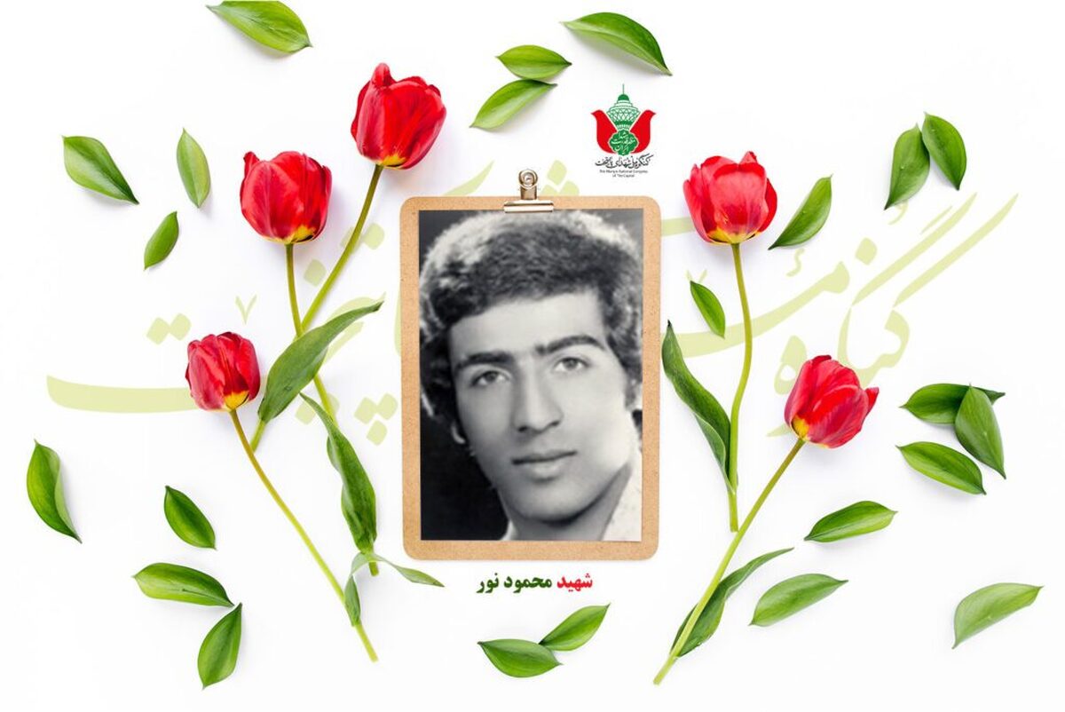 شهید محمود نور