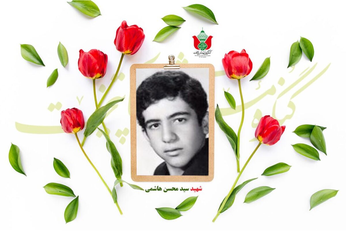 شهید سید محسن هاشمی